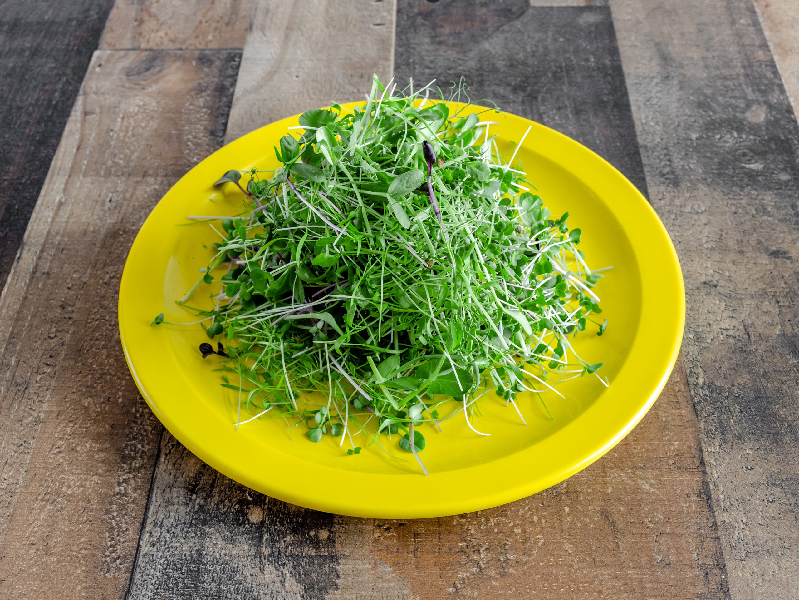 Spicy Salad mix 1oz. Dayton Microgreens